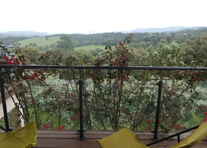 Maremuntagna Vecchio Porto-Vecchio (Corsica)